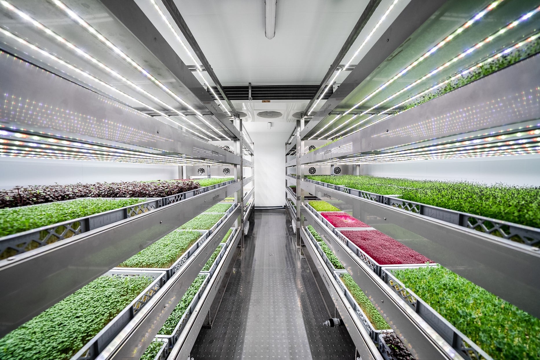 WHAT IS VERTICAL FARMING - Moldova Invest